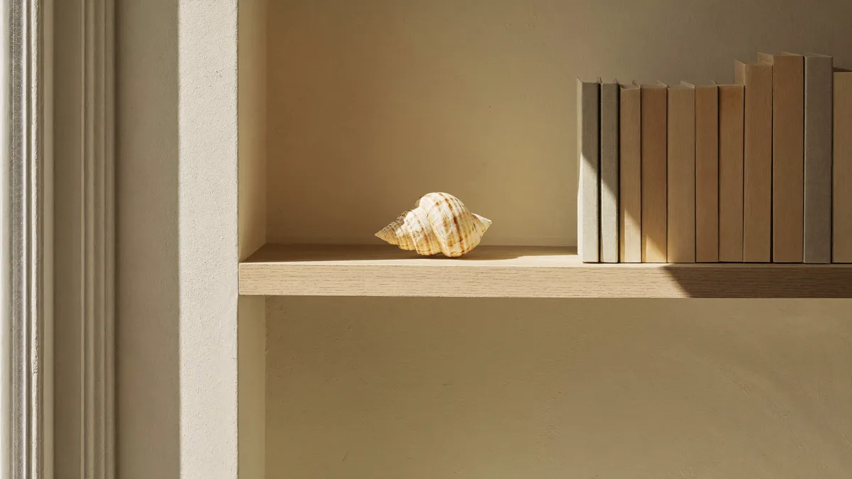 Illustrative shell arrangement beside books on a wooden shelf